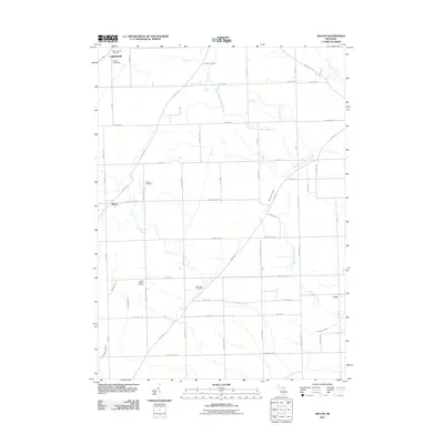 2011 Map of Macon, 2011 Print