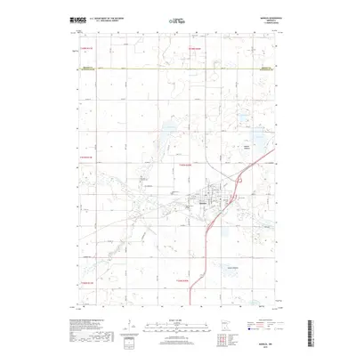 2019 Map of Madelia, 2019 Print