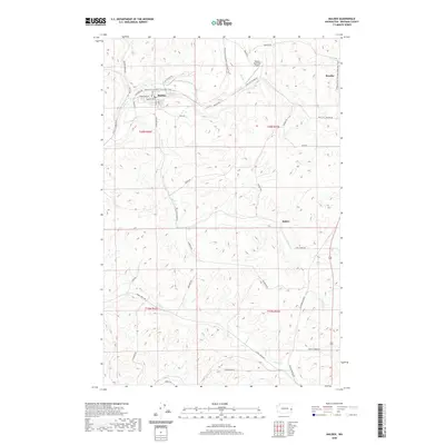 2020 Map of Malden, 2020 Print