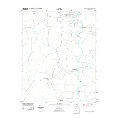 2011 Map of Mammoth Spring, 2011 Print