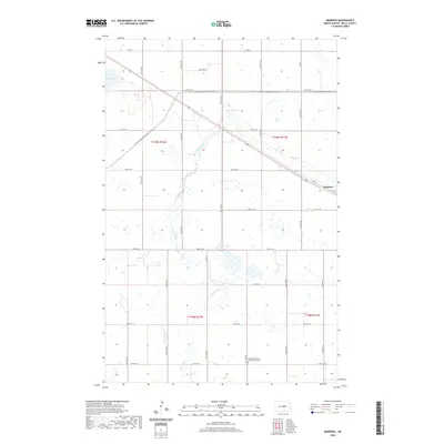 2020 Map of Manfred, 2020 Print