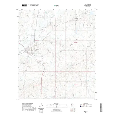 2020 Map of Many, 2020 Print