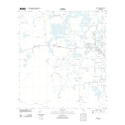 2012 Map of Mascotte, 2012 Print