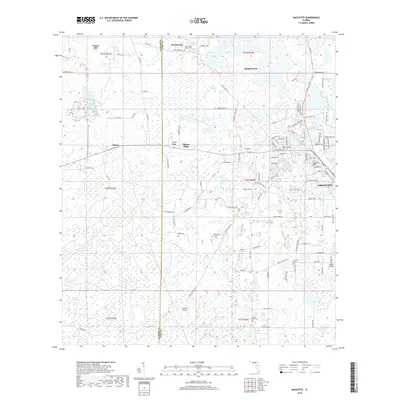 2018 Map of Mascotte, 2018 Print