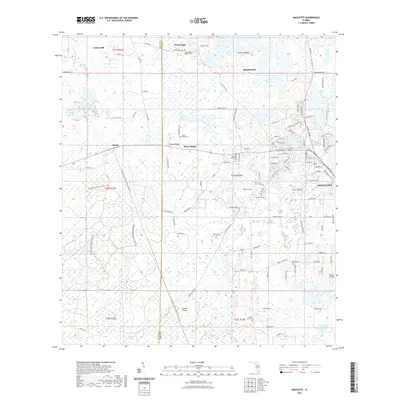 2021 Map of Mascotte, 2021 Print