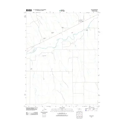 2011 Map of Max, 2011 Print