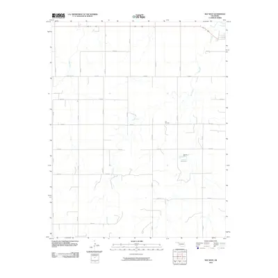 2010 Map of May West, 2010 Print