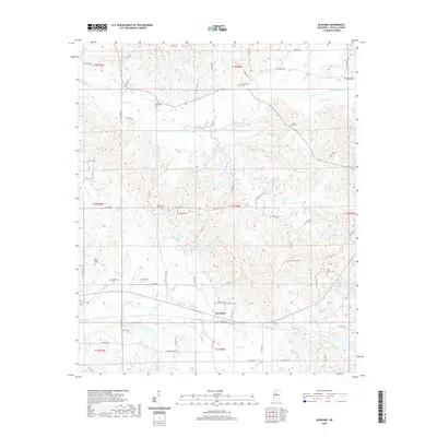 2020 Map of McAdams, 2020 Print