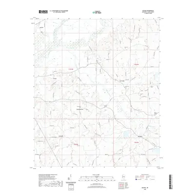2020 Map of McAfee, 2020 Print