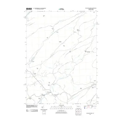 2010 Map of McAlevys Fort, 2010 Print