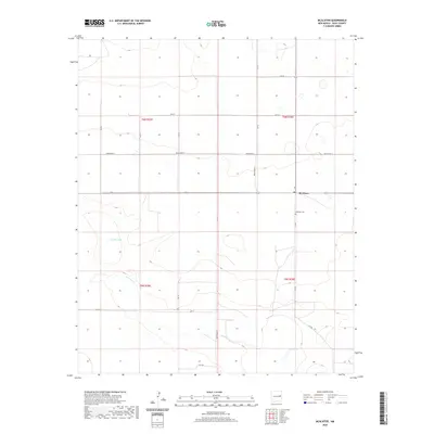 2020 Map of McAlister, 2020 Print