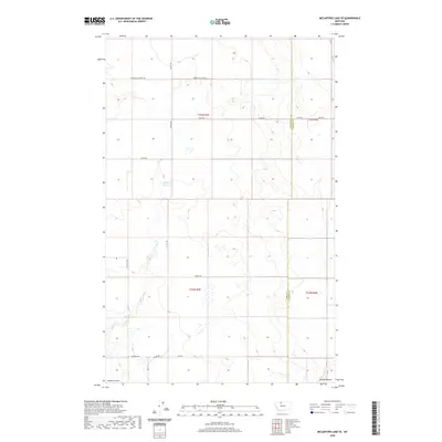 2020 Map of McCarters Lake SE, 2020 Print