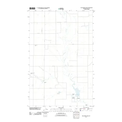 2011 Map of McCarters Lake, 2011 Print