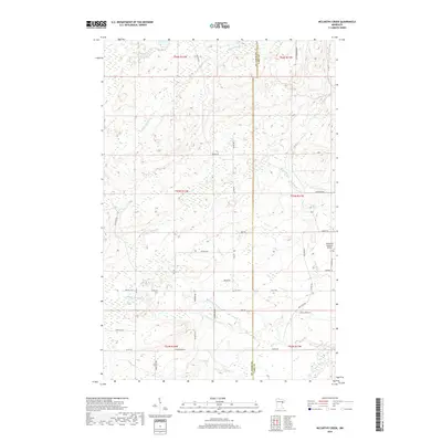 2019 Map of McCarthy Creek, 2019 Print