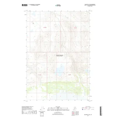 2017 Map of McCarthy D-2 SW, 2017 Print
