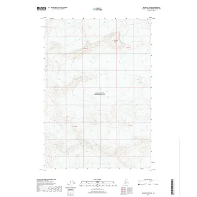 2017 Map of McCarthy D-5 SW, 2017 Print
