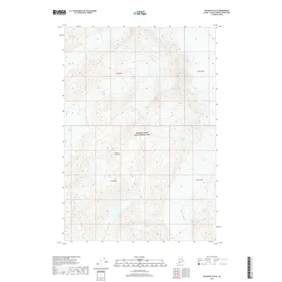 2017 Map of McCarthy D-8 SE, 2017 Print