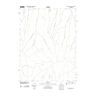 2010 Map of McCarthy Gulch, 2010 Print