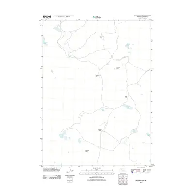 2011 Map of McCarty Lake, 2011 Print