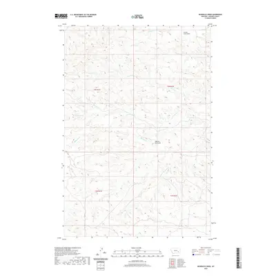 2020 Map of McKerlich Creek, 2020 Print