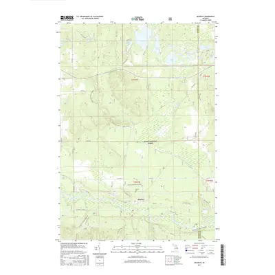 2017 Map of McKinley, 2017 Print
