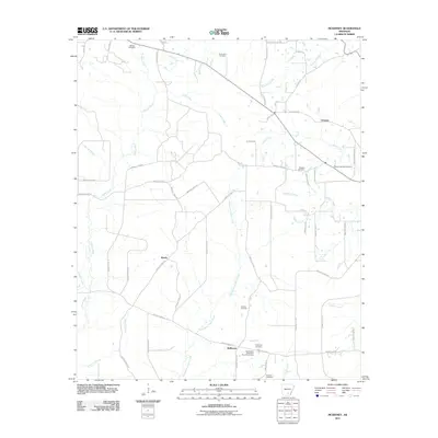 2011 Map of McKinney, 2011 Print