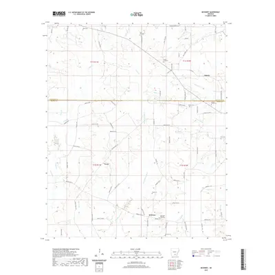 2020 Map of McKinney, 2020 Print