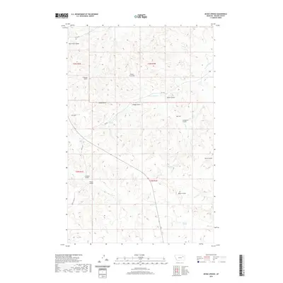 2020 Map of McRae Springs, 2020 Print