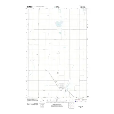 2011 Map of McVille, 2011 Print