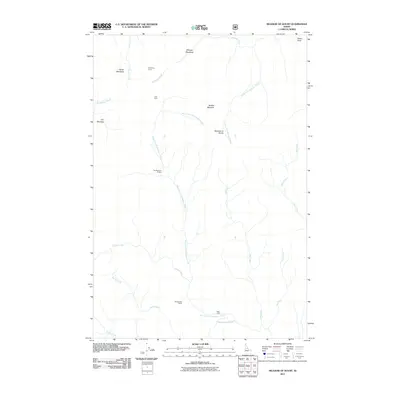 2011 Map of Meadow of Doubt, 2011 Print