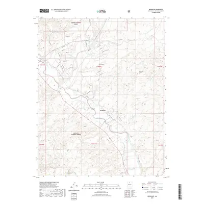 2020 Map of Medanales, 2020 Print
