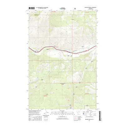2017 Map of Medicine Tree Hill, 2017 Print