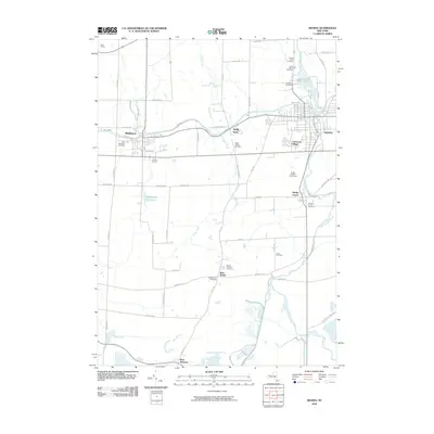 2010 Map of Medina, 2010 Print