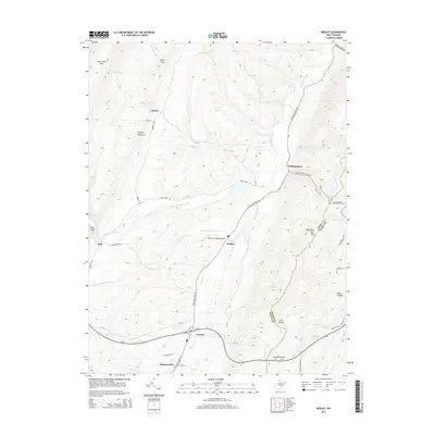 2014 Map of Medley, 2014 Print