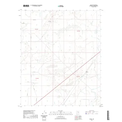 2020 Map of Melena, 2020 Print