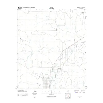 2013 Map of Mertzon, 2013 Print