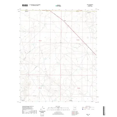 2020 Map of Mesa, 2020 Print
