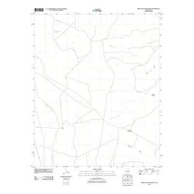 2010 Map of Mesita De Guadalupe, 2010 Print