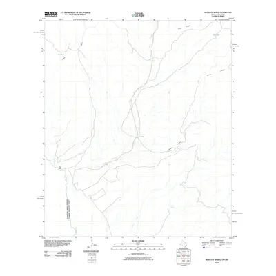 2010 Map of Mesquite Spring, 2010 Print