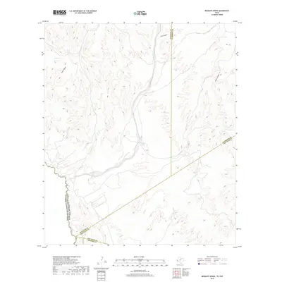 2019 Map of Mesquite Spring, 2019 Print