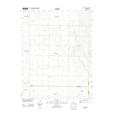 2013 Map of Metz Springs, 2013 Print