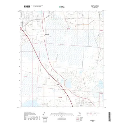 2021 Map of Micanopy, 2021 Print