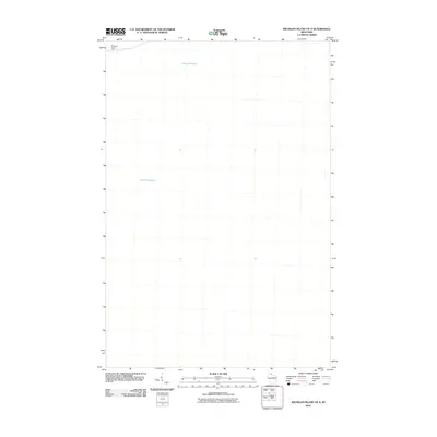 2010 Map of Michigan Island OE S, 2010 Print