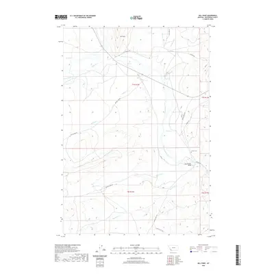 2020 Map of Mill Point, 2020 Print