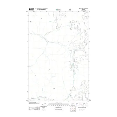 2011 Map of Miller Lake, 2011 Print