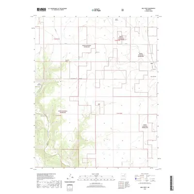 2020 Map of Mills West, 2020 Print