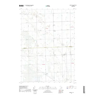 2019 Map of Minden City, 2019 Print