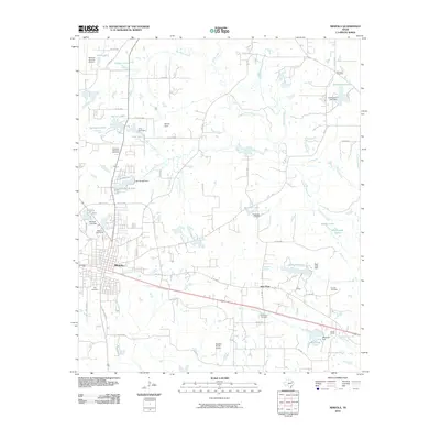 2010 Map of Mineola, 2010 Print
