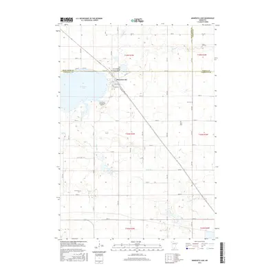 2016 Map of Minnesota Lake, 2016 Print