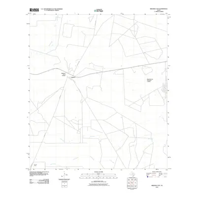 2010 Map of Mirando City, 2010 Print